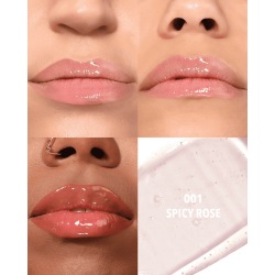 Lip Glaze Oil Plumper 001 Spicy Rose Moira