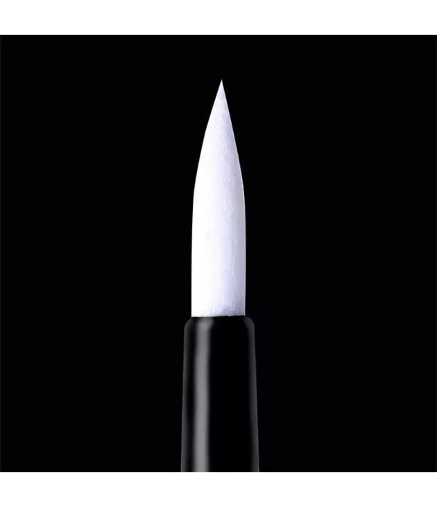 Delineador Tintero Negro 4 en 1 Prosa