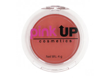 Blush 04 Mauve Pink Up