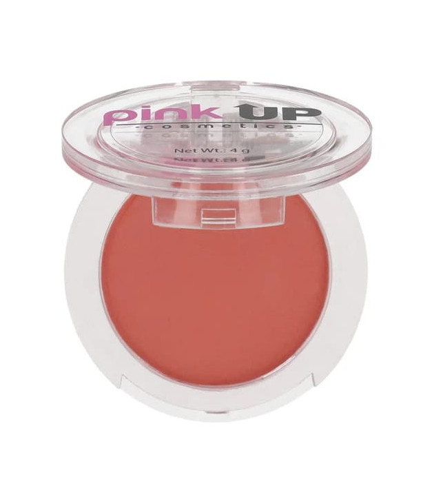 Blush 04 Mauve Pink Up