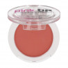 Blush 04 Mauve Pink Up