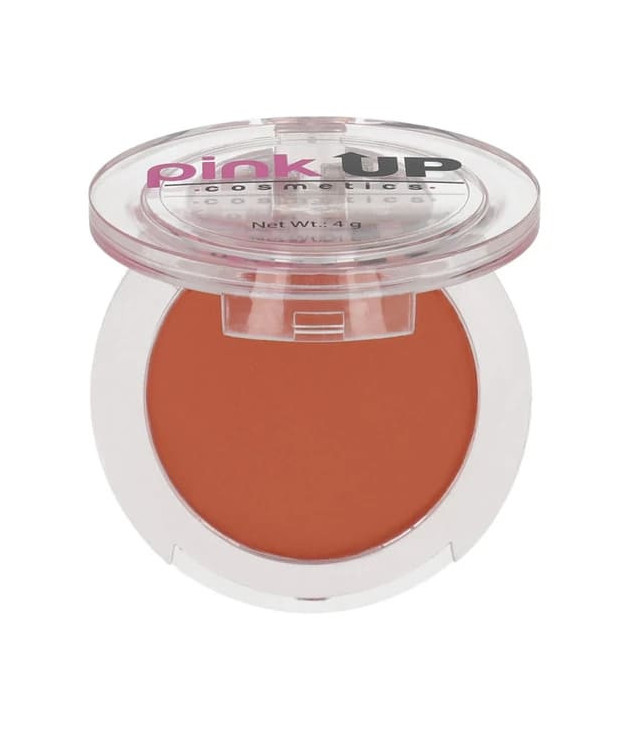 Blush 06 Terracota Pink Up