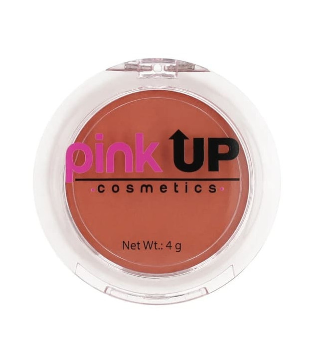 Blush 06 Terracota Pink Up