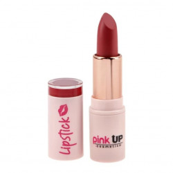 Labiales lipstick (tono a elegir) Pink Up