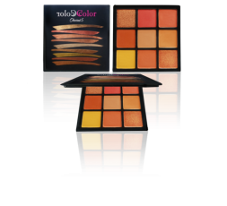 Sombras Obsessed 5 Ccolor Cosmetics