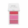 Paleta De Rubores Pink Dream Blushes Rosy McMichael X Beauty Creations Vol 2